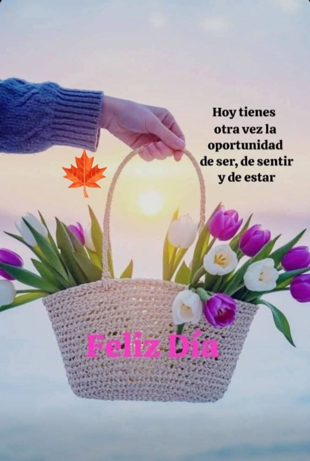 feliz dia lleno de paz