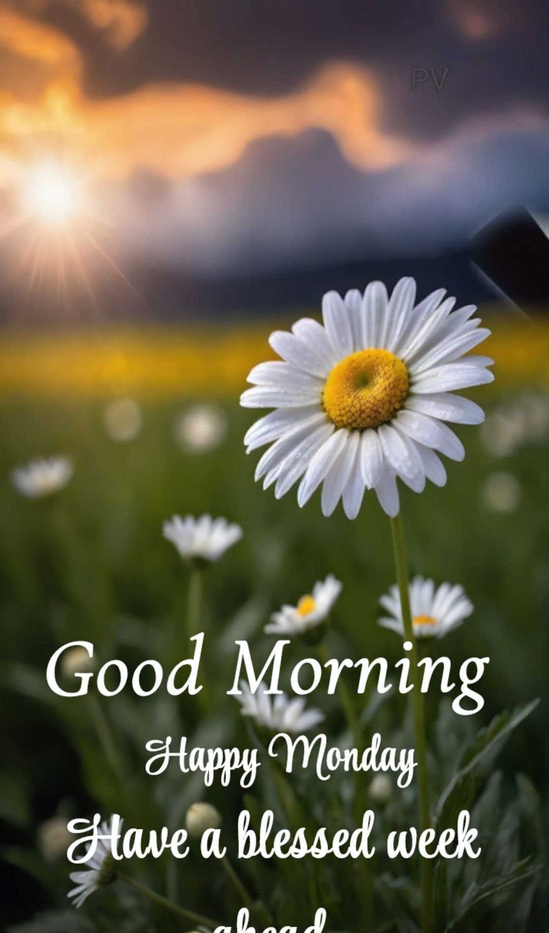 feliz lunes motivacion